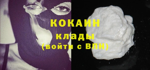 бошки Ладушкин