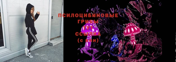 мяу мяу мука Лабытнанги