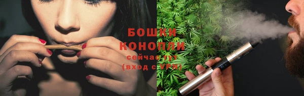 Альфа ПВП Няндома