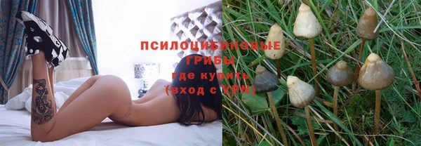 бошки Ладушкин