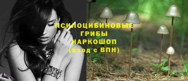 прущие грибы Лагань